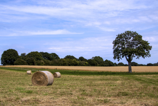 1686932 (a): :2400x1600